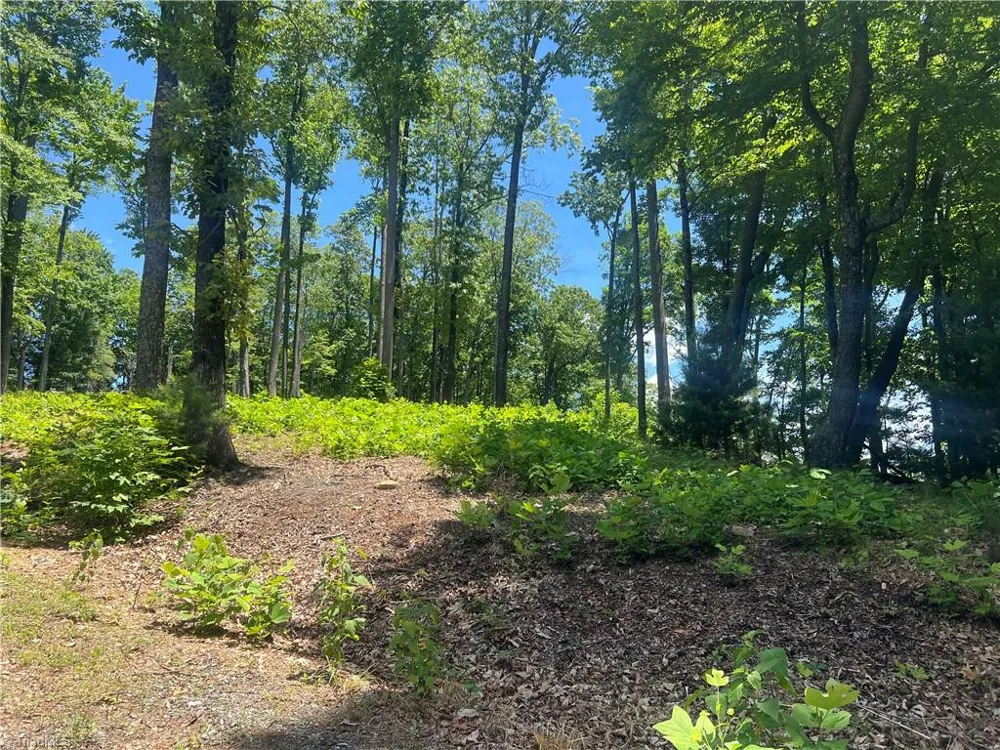 TBD Wilderness Road Hays, NC 28635