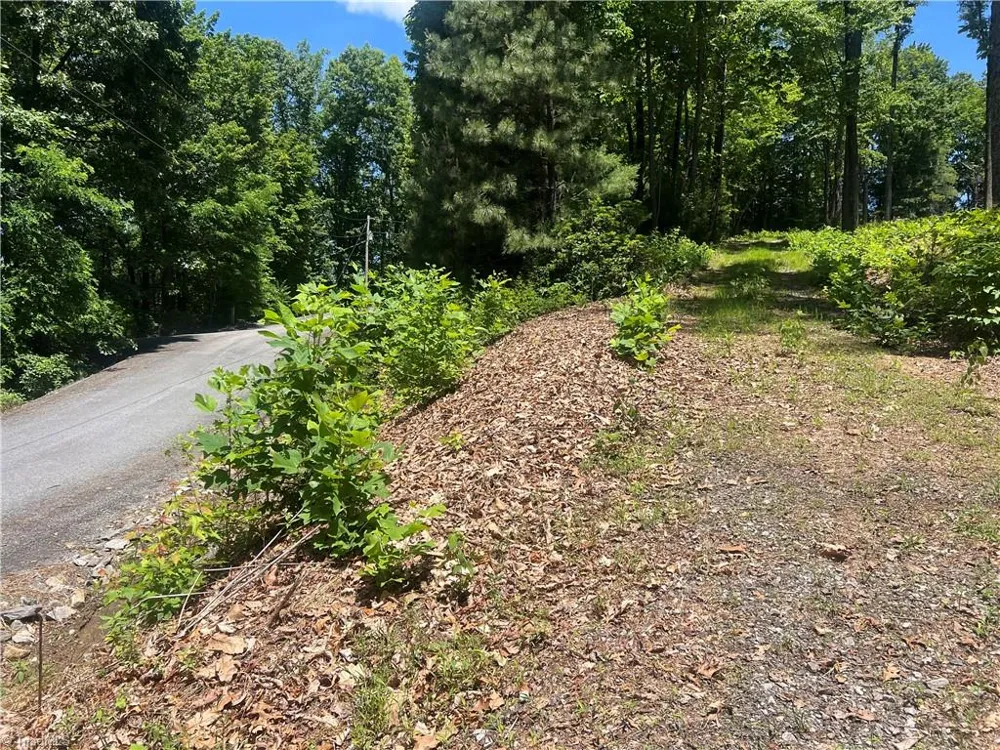 TBD Wilderness Road Hays, NC 28635