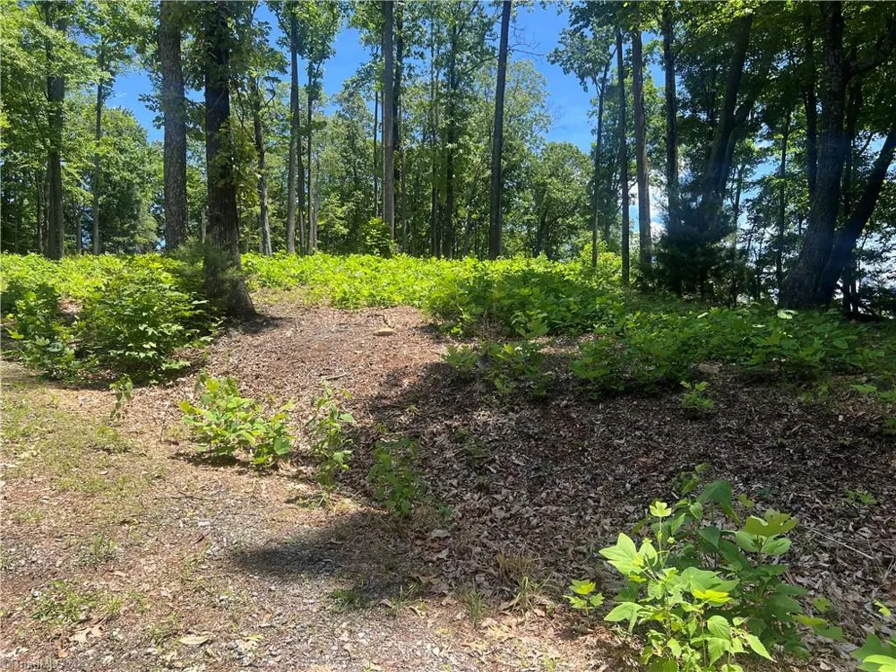 TBD Wilderness Road Hays, NC 28635