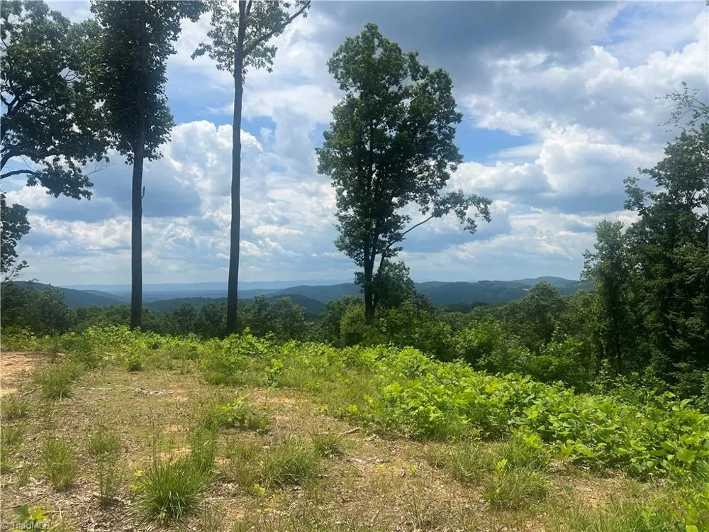 TBD Wilderness Road Hays, NC 28635
