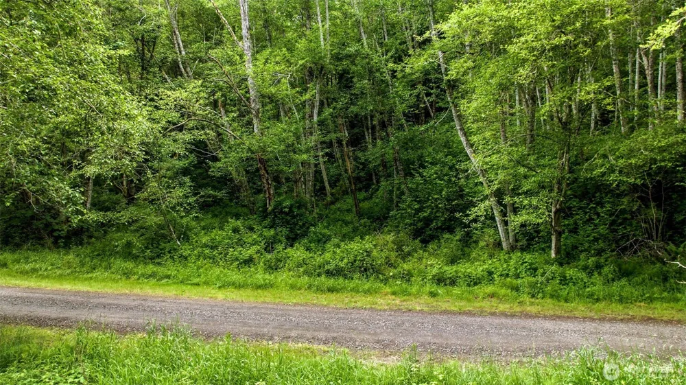 241 NE Rendsland Creek Road Tahuya, WA 98588
