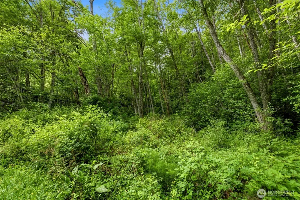 241 NE Rendsland Creek Road Tahuya, WA 98588