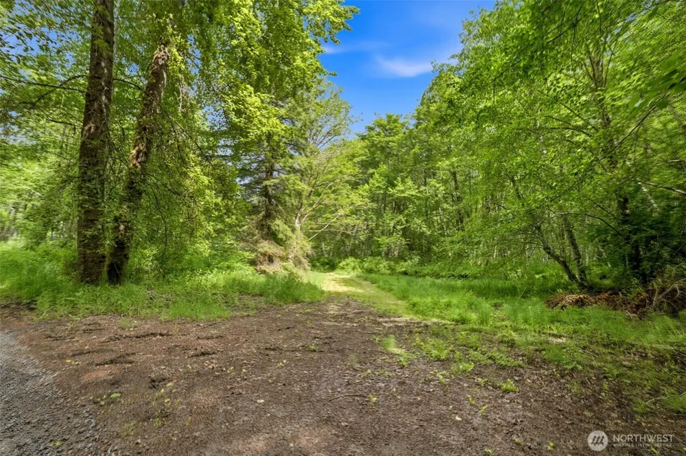 241 NE Rendsland Creek Road Tahuya, WA 98588
