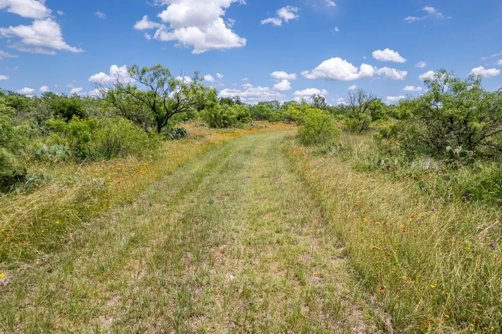1171 County Road 315 Gouldbusk, TX 76845