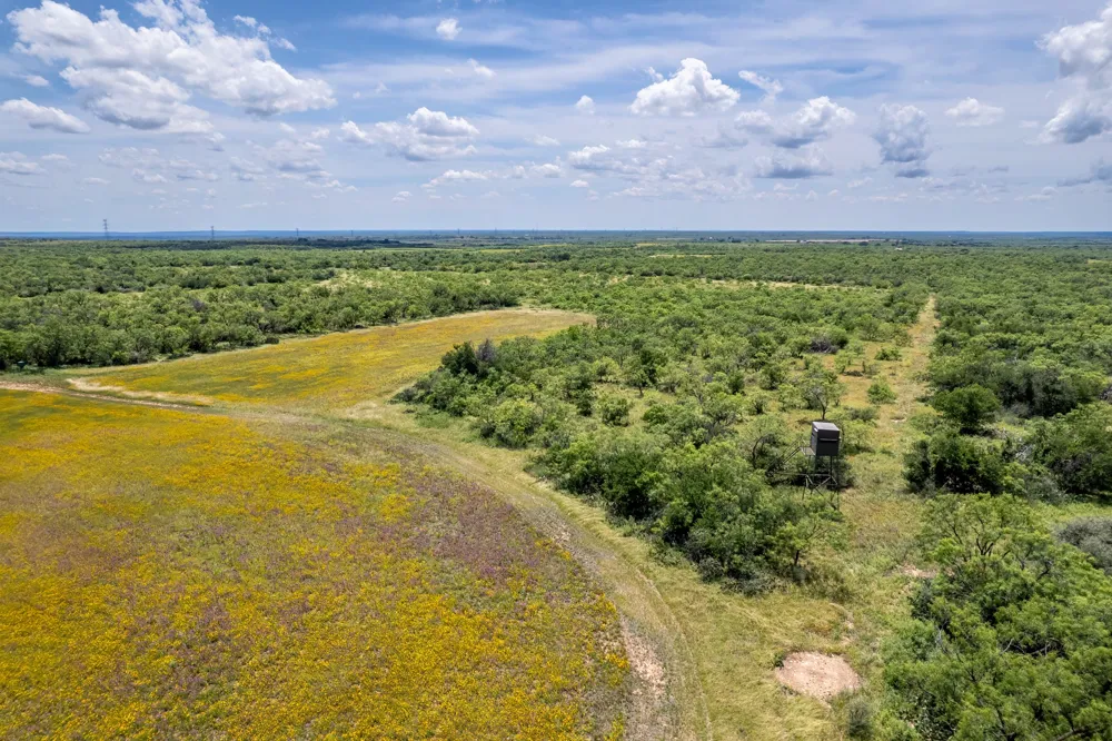 1171 County Road 315 Gouldbusk, TX 76845