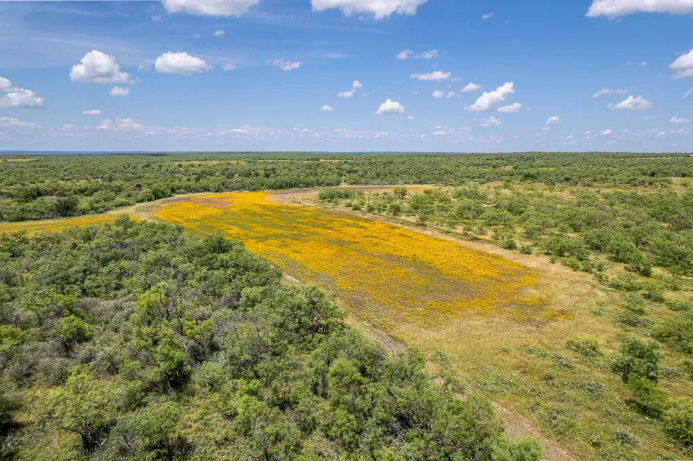 1171 County Road 315 Gouldbusk, TX 76845