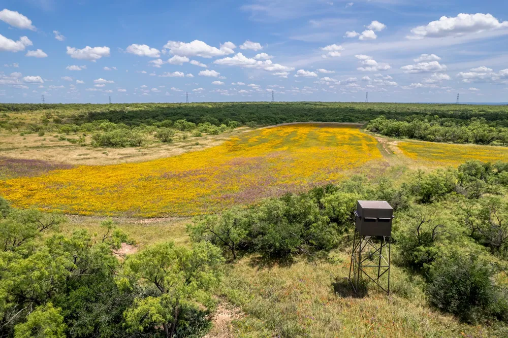 1171 County Road 315 Gouldbusk, TX 76845
