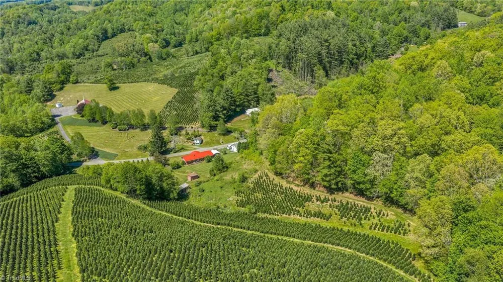 346 Piney Creek Road Lansing, NC 28643