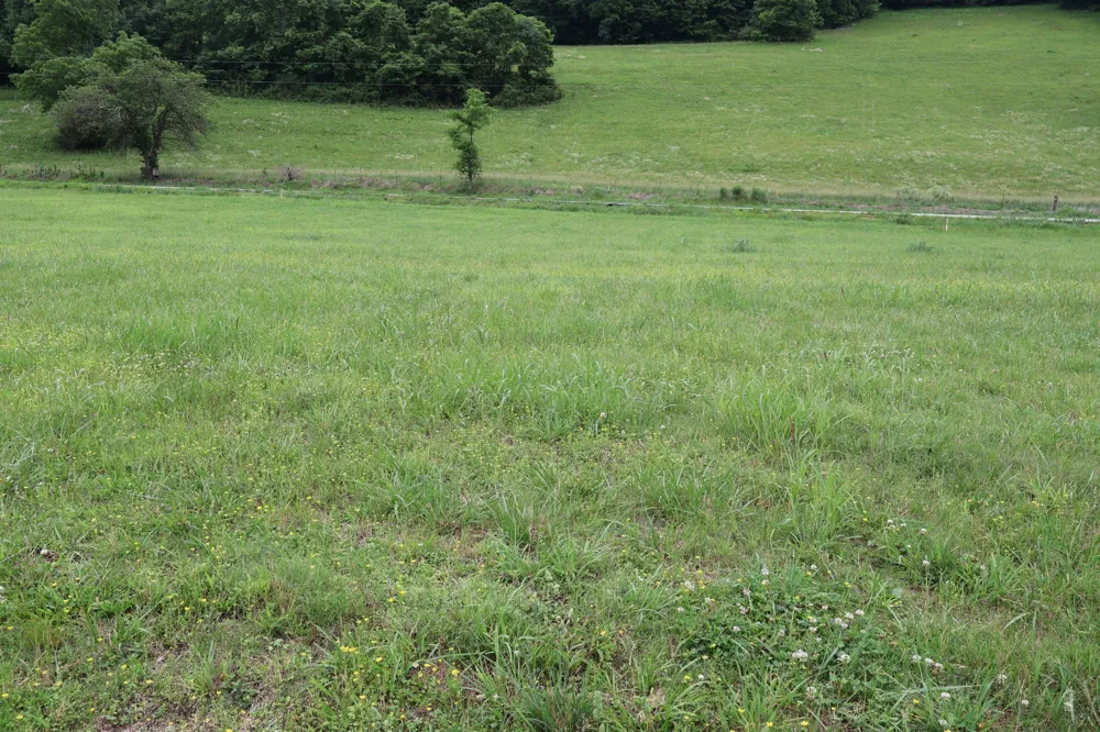 0 Pleasant Shade Hwy Pleasant Shade, TN 37145