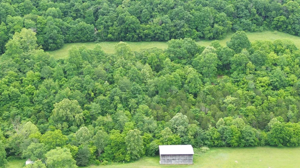 0 Pleasant Shade Hwy Pleasant Shade, TN 37145