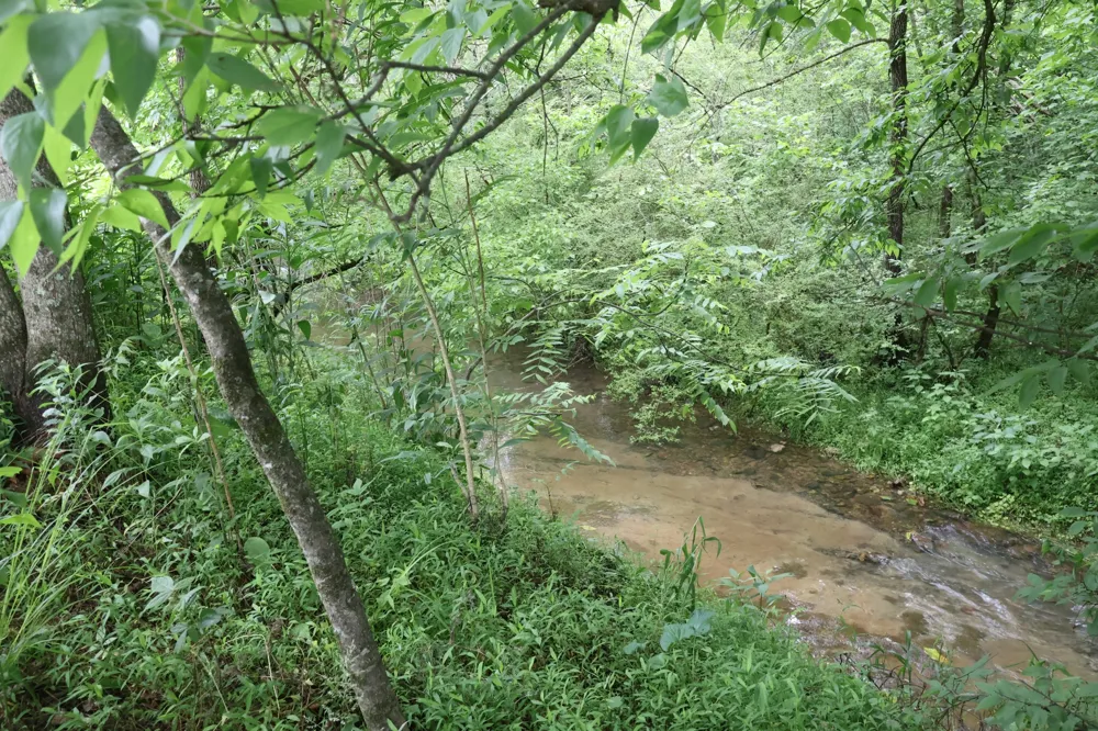 0 Pleasant Shade Hwy Pleasant Shade, TN 37145