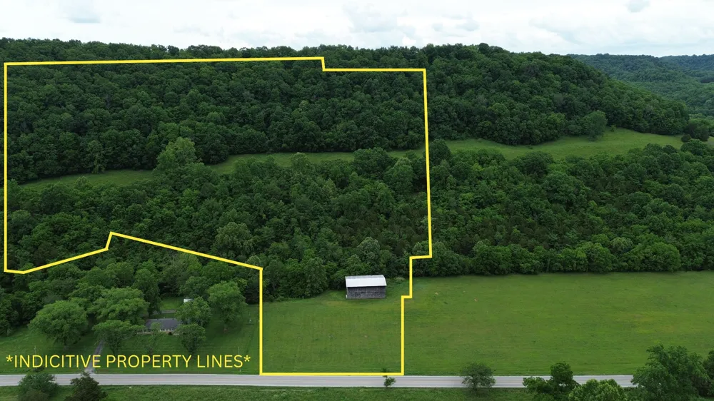 0 Pleasant Shade Hwy Pleasant Shade, TN 37145