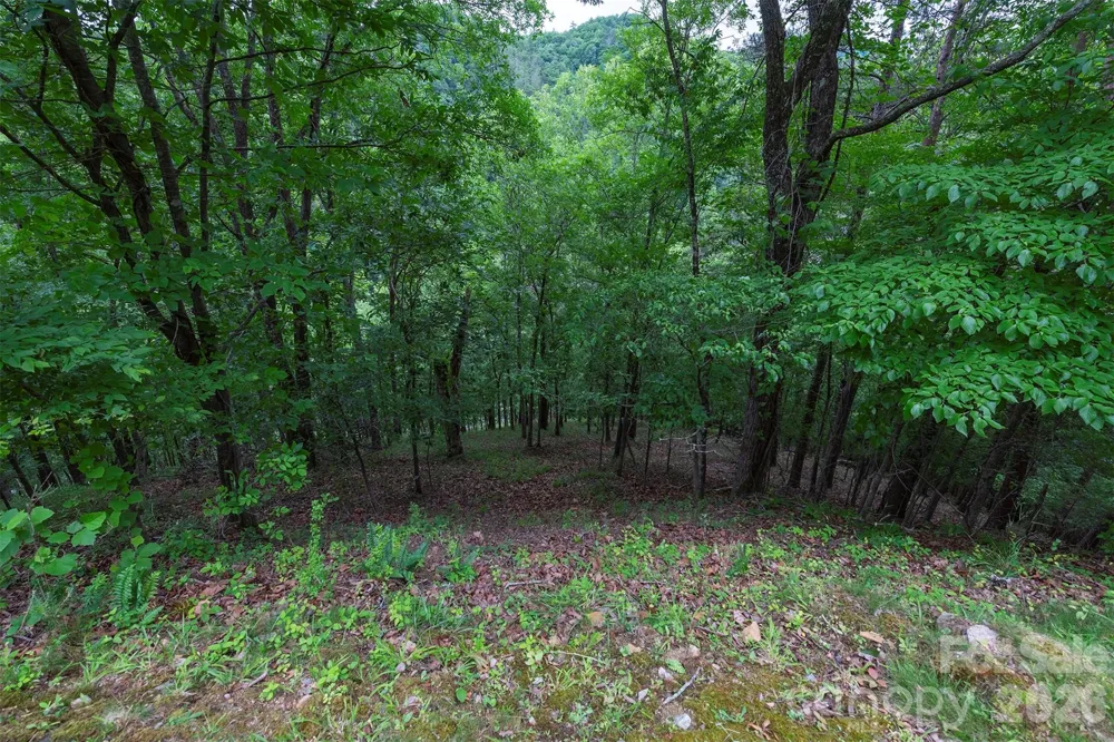 2391 French Broad Parkway #34 Marshall, NC 28753