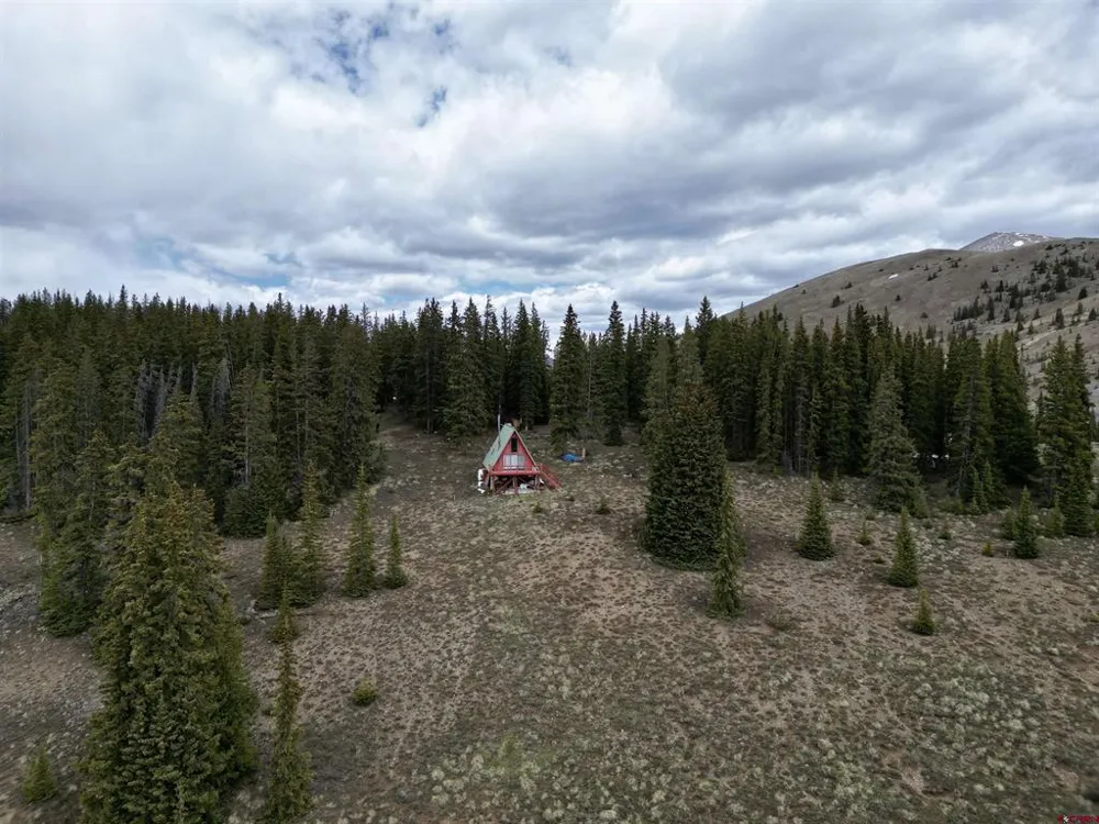 1170 Geneva Loop Pitkin, CO 81241