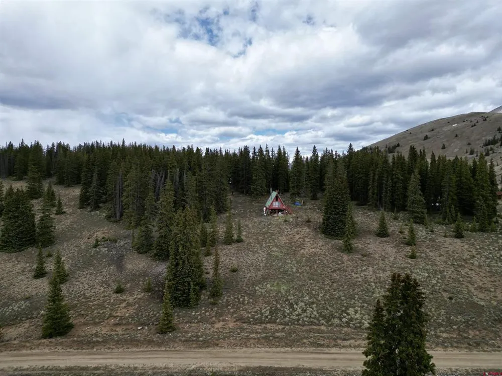 1170 Geneva Loop Pitkin, CO 81241