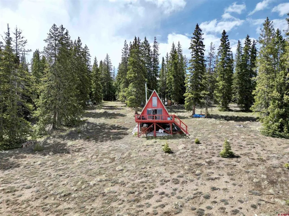 1170 Geneva Loop Pitkin, CO 81241