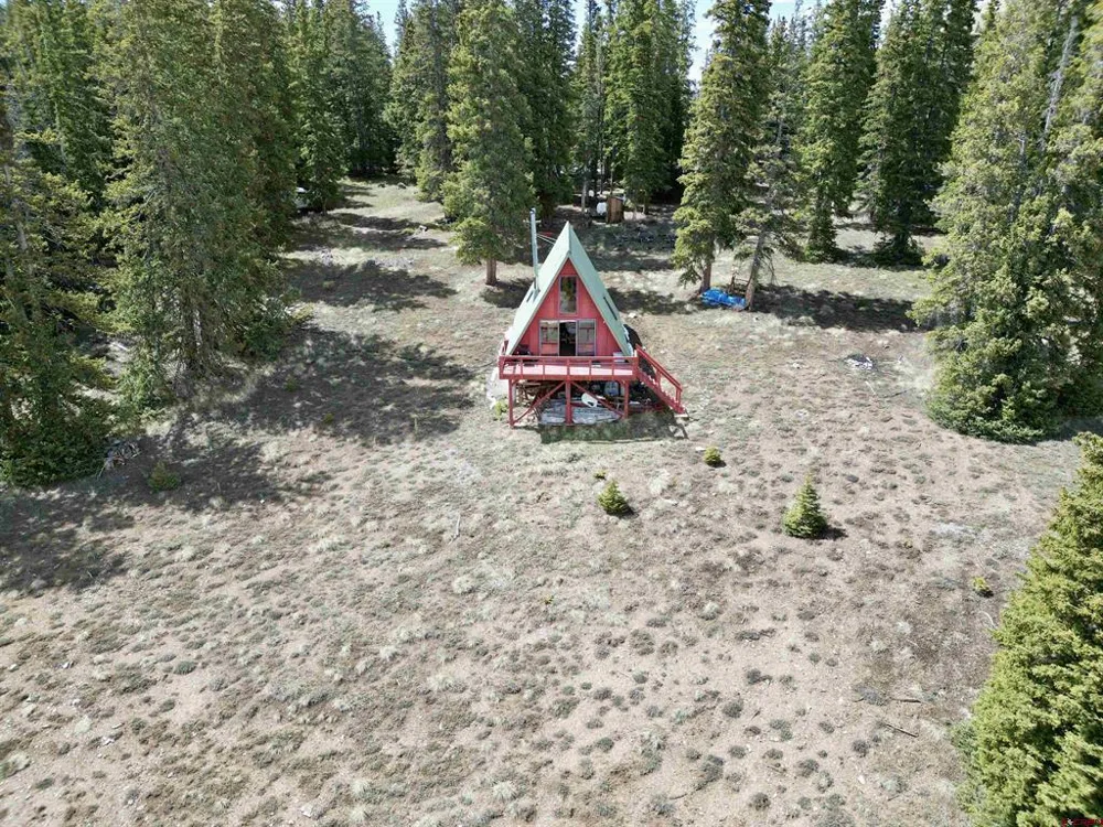 1170 Geneva Loop Pitkin, CO 81241