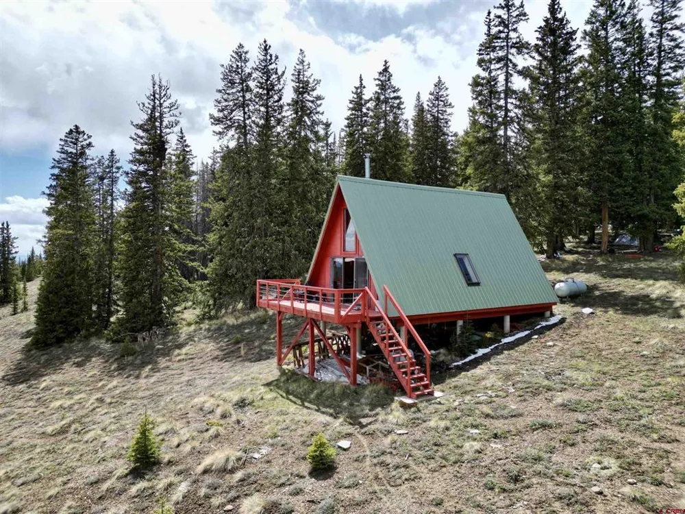1170 Geneva Loop Pitkin, CO 81241