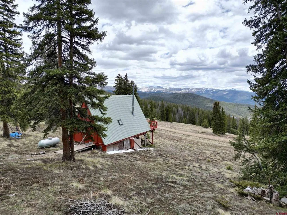 1170 Geneva Loop Pitkin, CO 81241