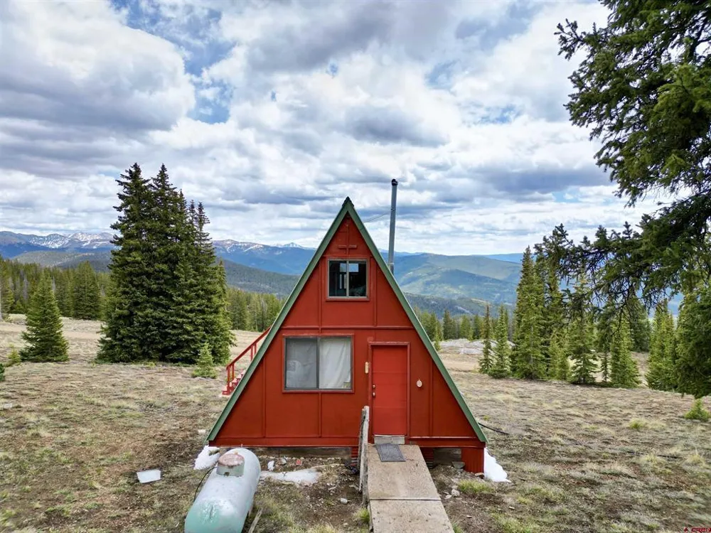 1170 Geneva Loop Pitkin, CO 81241