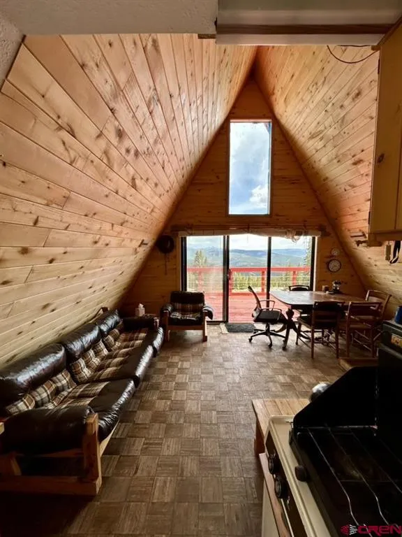 1170 Geneva Loop Pitkin, CO 81241
