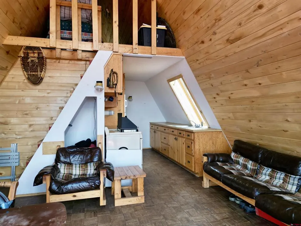 1170 Geneva Loop Pitkin, CO 81241