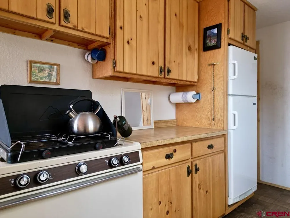 1170 Geneva Loop Pitkin, CO 81241