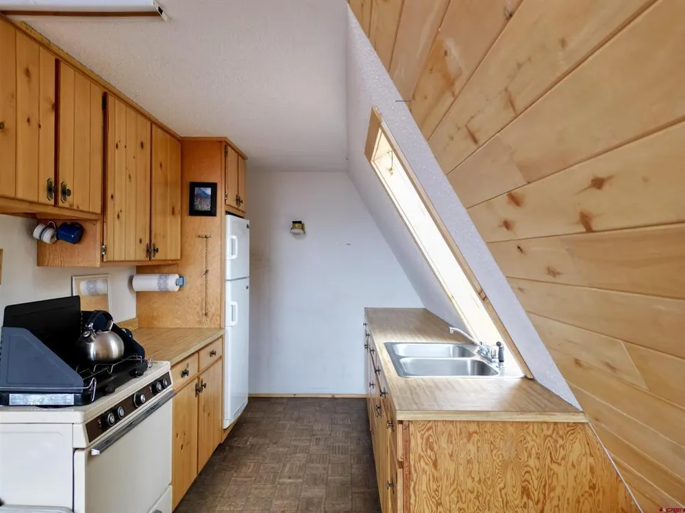 1170 Geneva Loop Pitkin, CO 81241