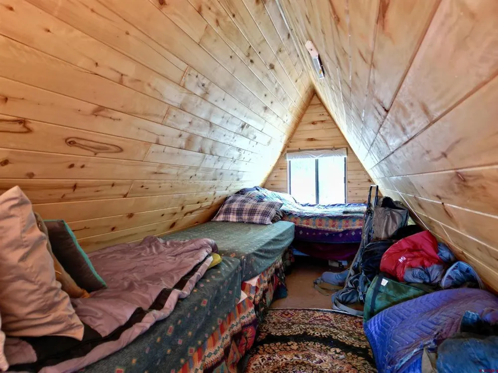 1170 Geneva Loop Pitkin, CO 81241