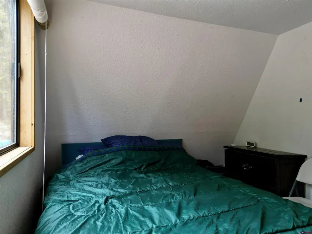 1170 Geneva Loop Pitkin, CO 81241