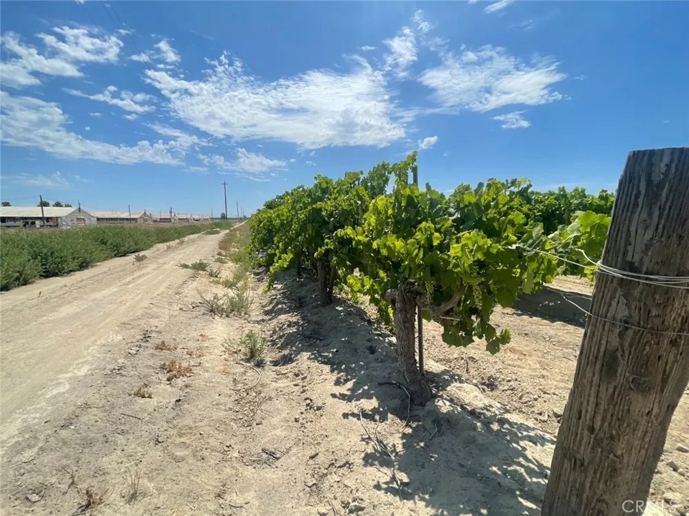 1 S Plumas Avenue Kerman, CA 93630