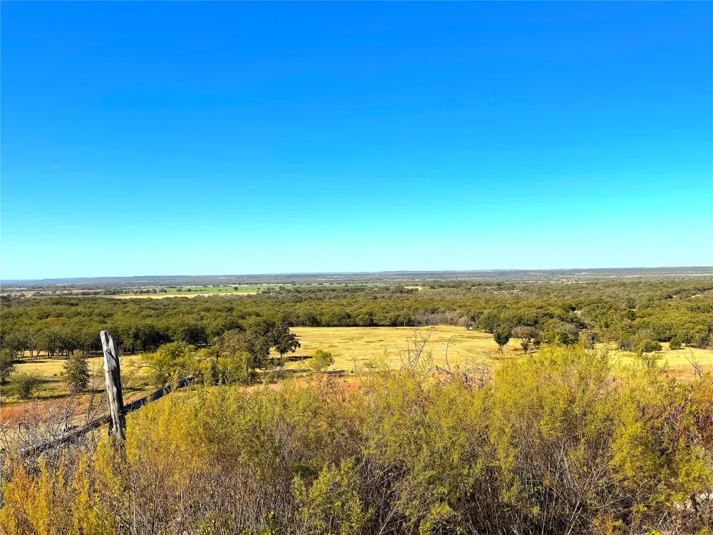 1849 Two Bush Road Perrin, TX 76486