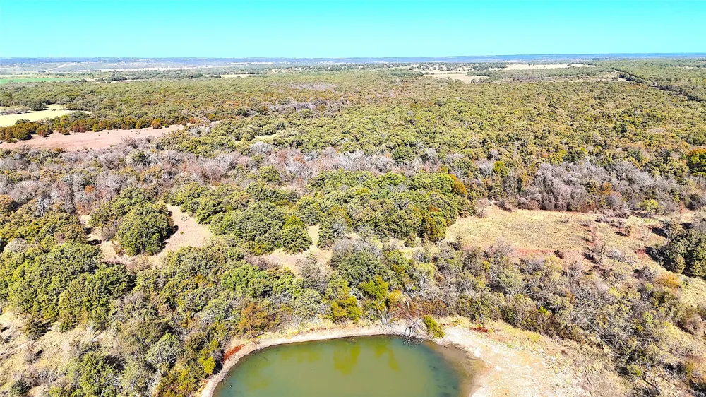 1849 Two Bush Road Perrin, TX 76486