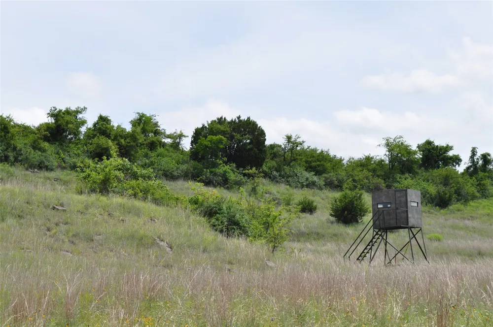 1849 Two Bush Road Perrin, TX 76486