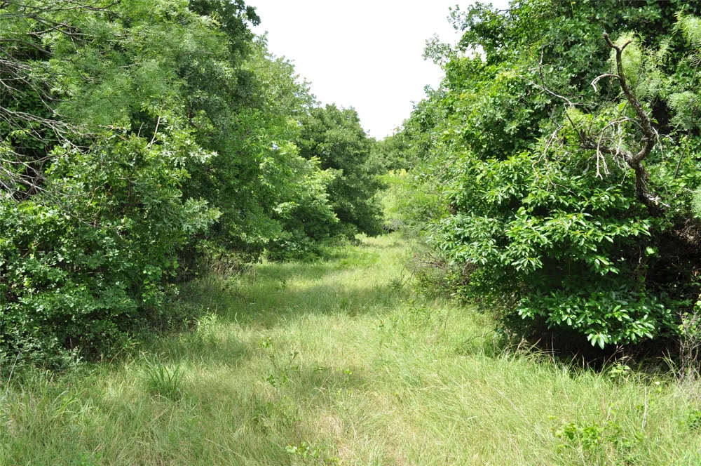 1849 Two Bush Road Perrin, TX 76486