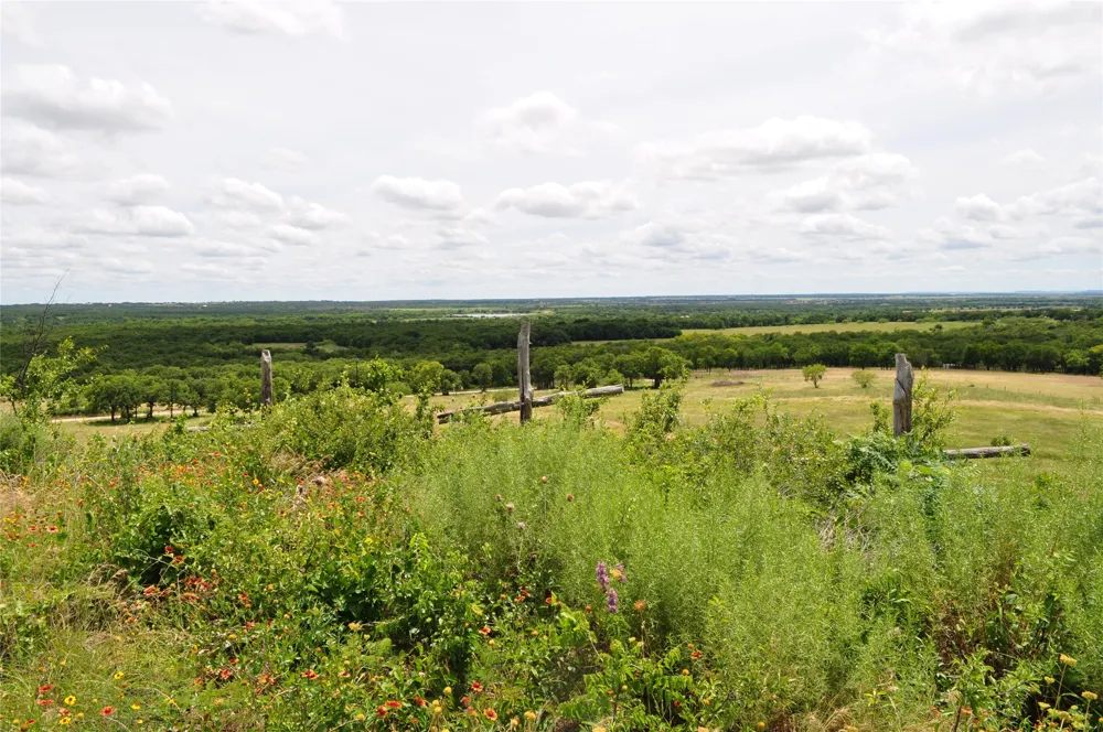 1849 Two Bush Road Perrin, TX 76486