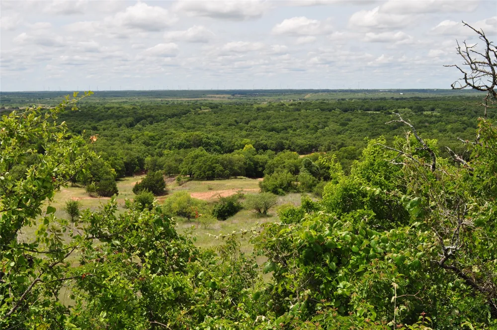 1849 Two Bush Road Perrin, TX 76486
