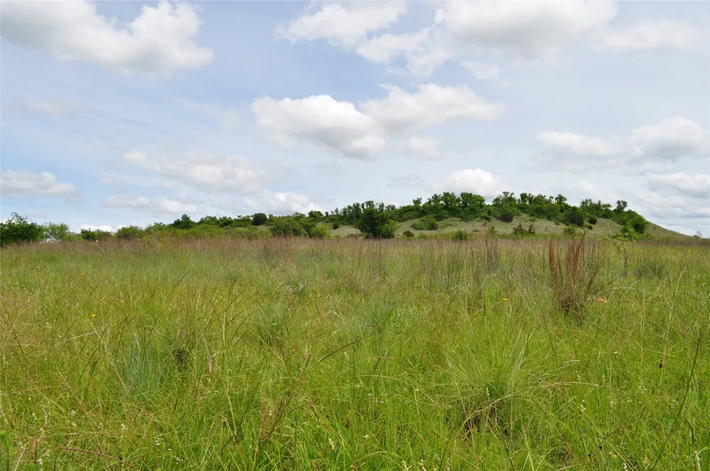 1849 Two Bush Road Perrin, TX 76486