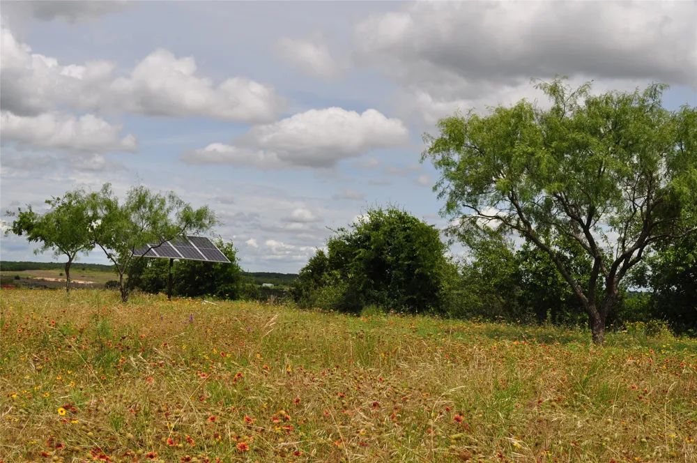 1849 Two Bush Road Perrin, TX 76486