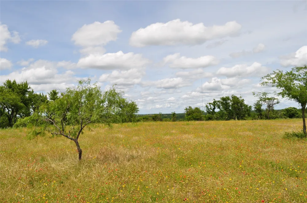 1849 Two Bush Road Perrin, TX 76486