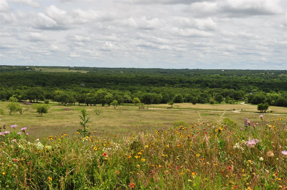 1849 Two Bush Road Perrin, TX 76486