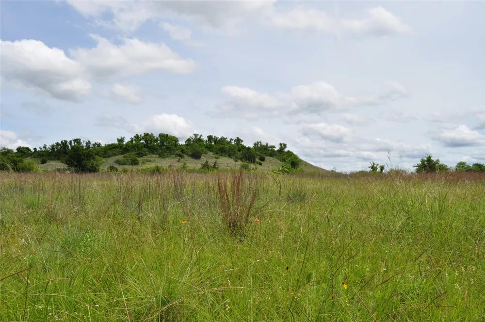 1849 Two Bush Road Perrin, TX 76486