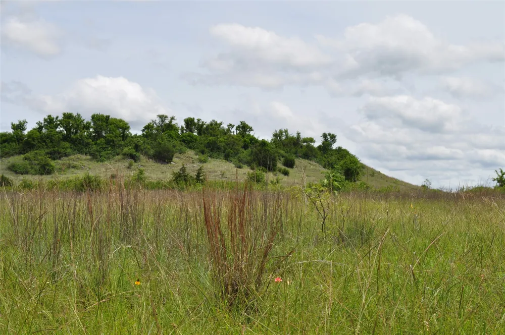1849 Two Bush Road Perrin, TX 76486