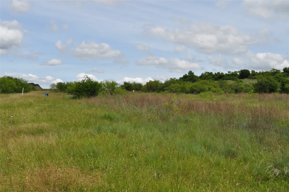 1849 Two Bush Road Perrin, TX 76486