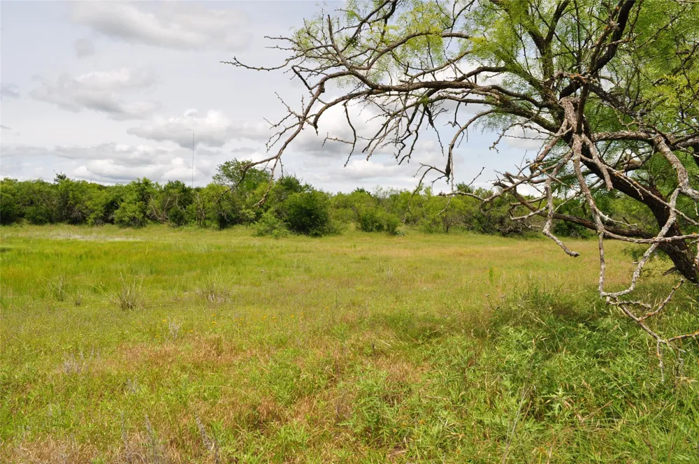 1849 Two Bush Road Perrin, TX 76486