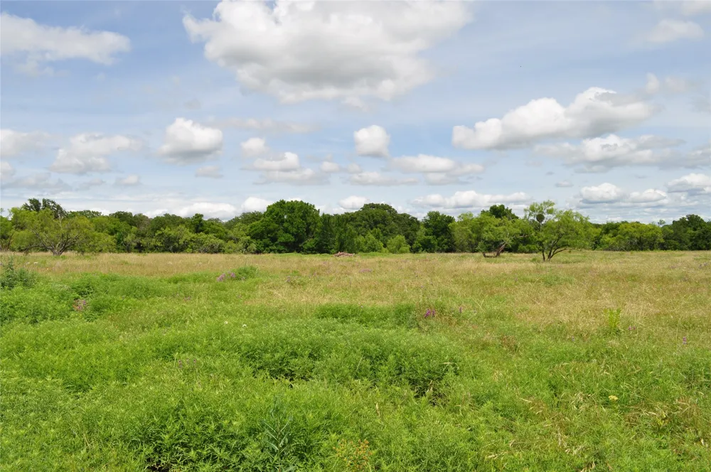 1849 Two Bush Road Perrin, TX 76486
