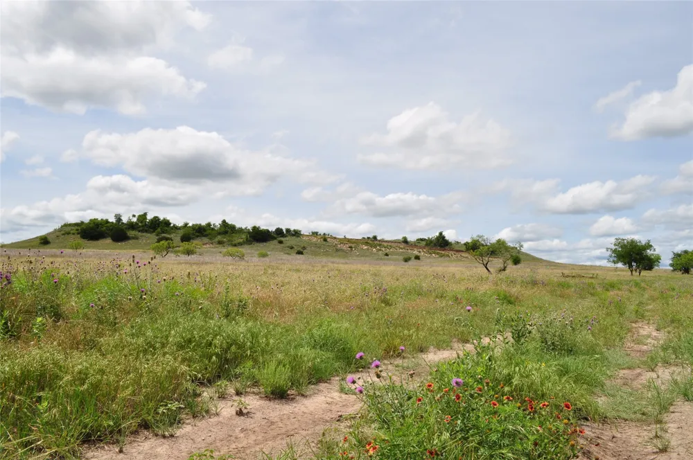 1849 Two Bush Road Perrin, TX 76486
