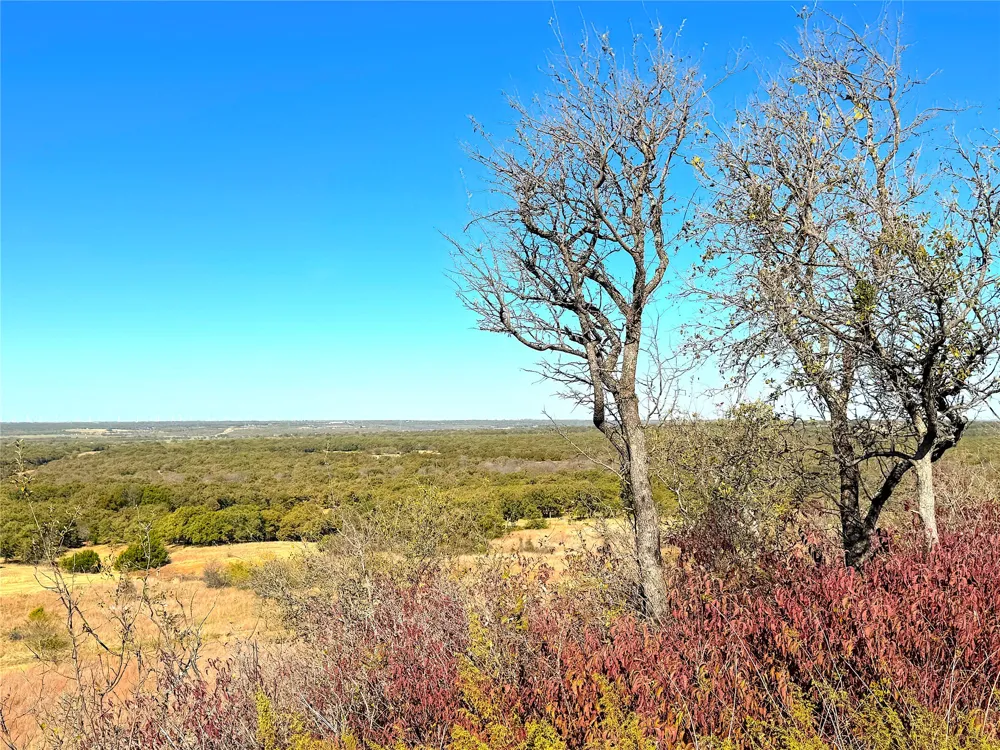 1849 Two Bush Road Perrin, TX 76486