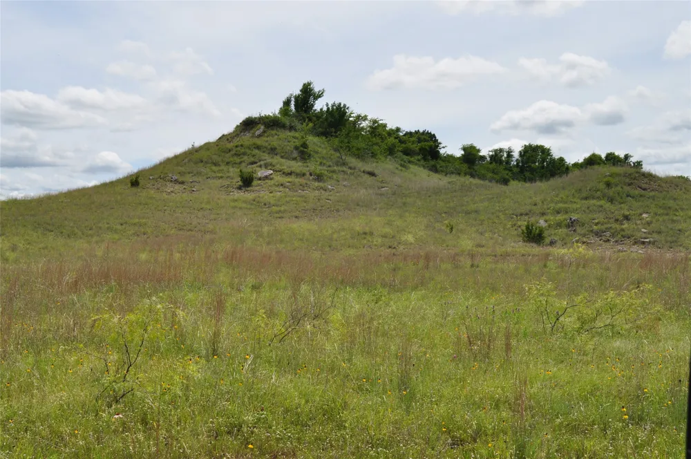 1849 Two Bush Road Perrin, TX 76486