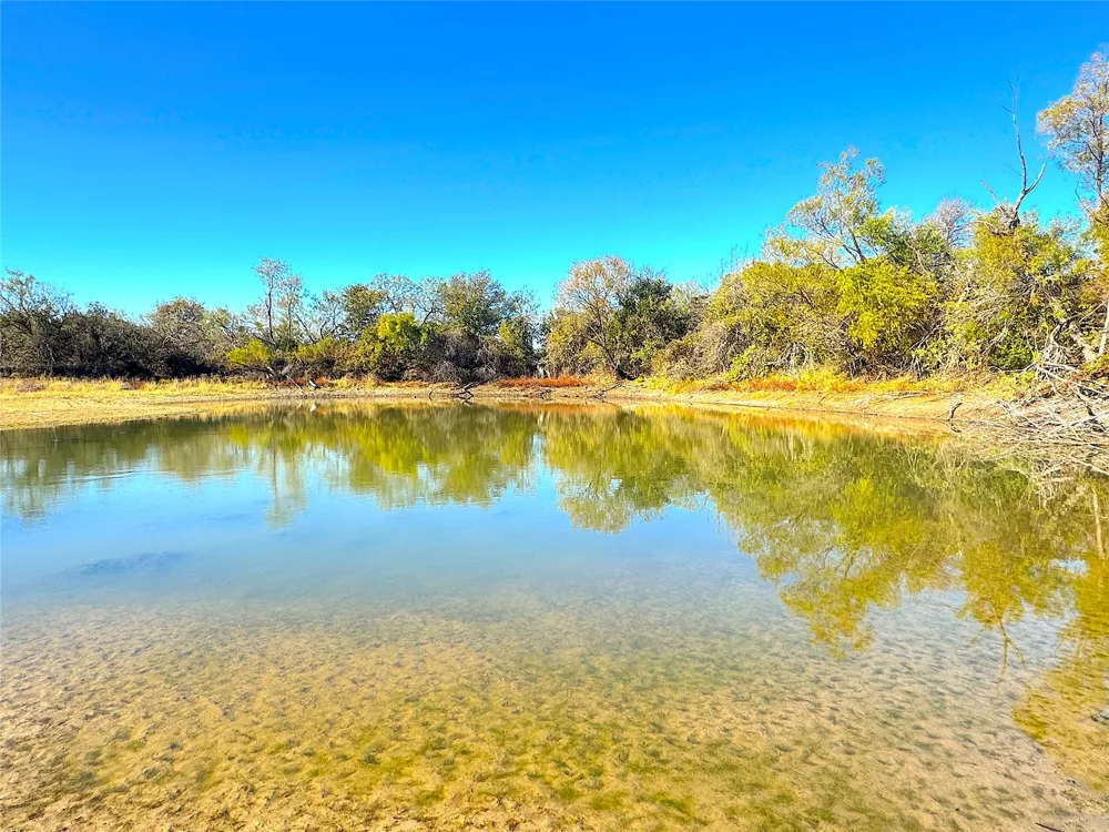 1849 Two Bush Road Perrin, TX 76486